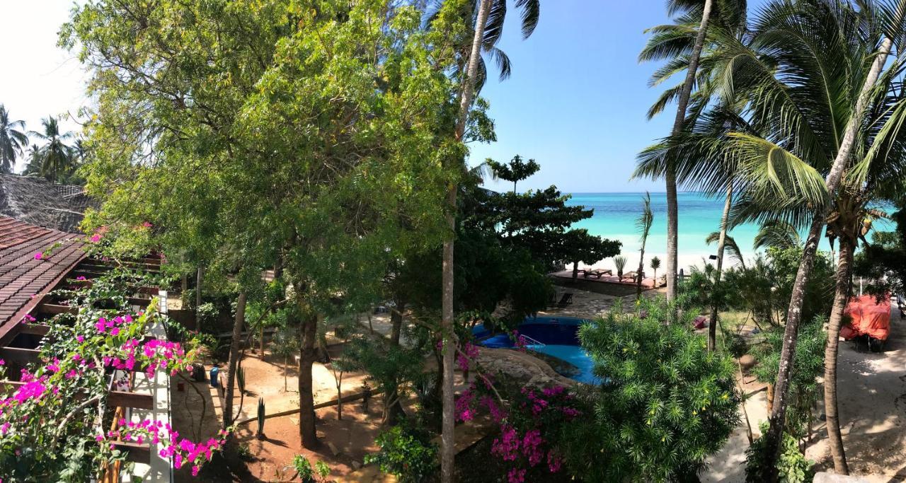 Stone Resort Kiwengwa (Zanzibar) Exterior foto