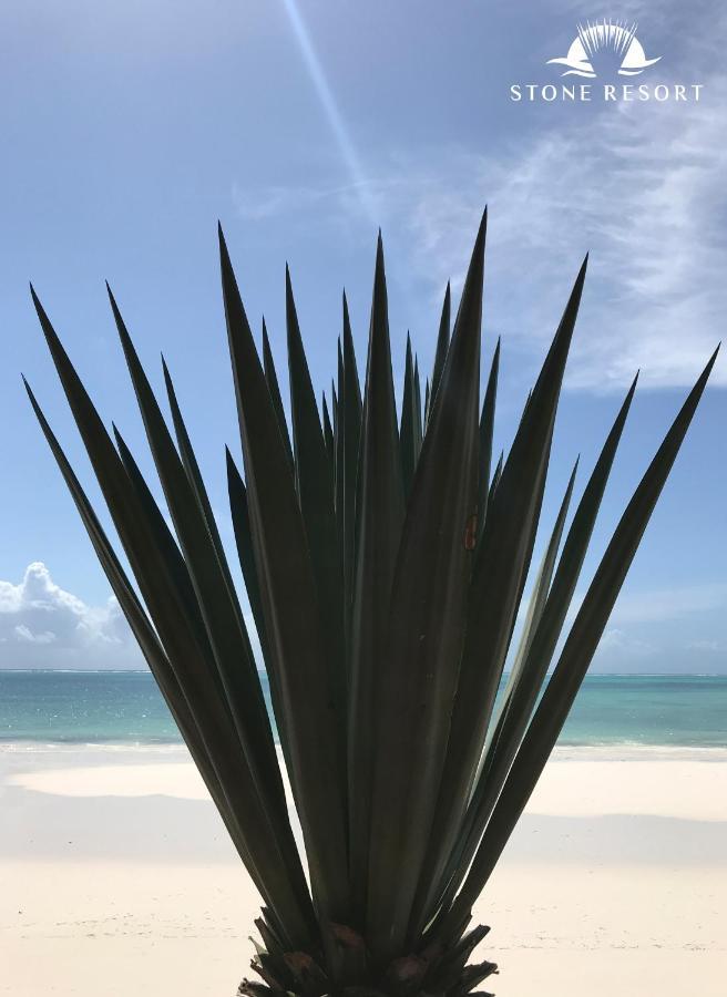 Stone Resort Kiwengwa (Zanzibar) Exterior foto